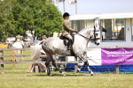 SBM_16095