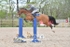 BPP_3628