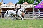 SBM_17536