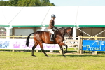 SBM_10734