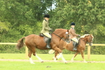 SBM_71891