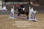 BPP_5562