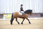 SBM_004211