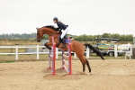 SBM_008915