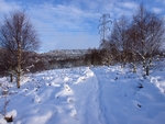 Wharncliffe Heath (09)