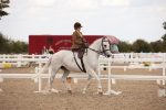 Class 22 SSA Equitation portfolio