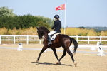 SBM_009914