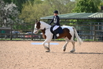 WJ6_6769