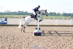 Cls 31 Snr British Novice and 90cm Open portfolio