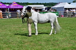 SBM_07820