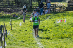 The Finish-2162