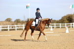 SBM_009084