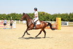 SBM_001122