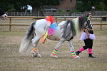WJ6_8826