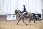 SBM_010689
