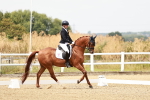 SBM_003640