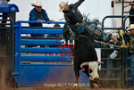 3HRodeo7-11-24_LJD_3HR2642_LJD