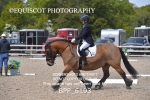 BPP_6193