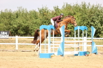 SBM_026204