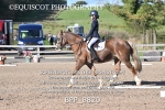 BPP_8820