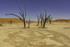 Dead Pan, Namibia