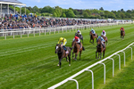 150526-Race 5-Rahiebb-0287
