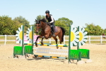 SBM_006582