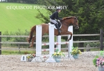 BPP_3737