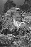 Machu Pichu #1
