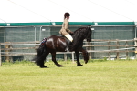 SBM_07122