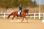 SBM_009326