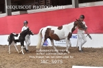 JAC_5975