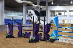 Class 5 - Senior Foxhunter - 1.20m portfolio