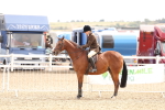 SBM_05163