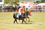 SBM_16549