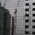 Crane
