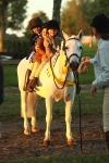 SBM_56751