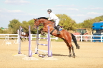 SBM_007786