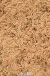 230610A-161008-04130