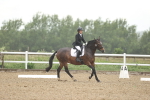 SBM_000954