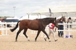 SBM_16978