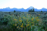 Colorful Teton Evening