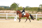 SBM_002333