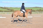 BPP_8409