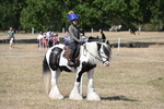 WJ6_9117