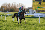 221124-Race 5-Kilbarry Hill-5271