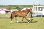 SBM_10482