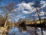 Wire Mill Dam - March 2007