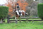 WJ7_0163