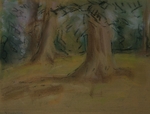 Ancient Beech Trees,Cuckney House
